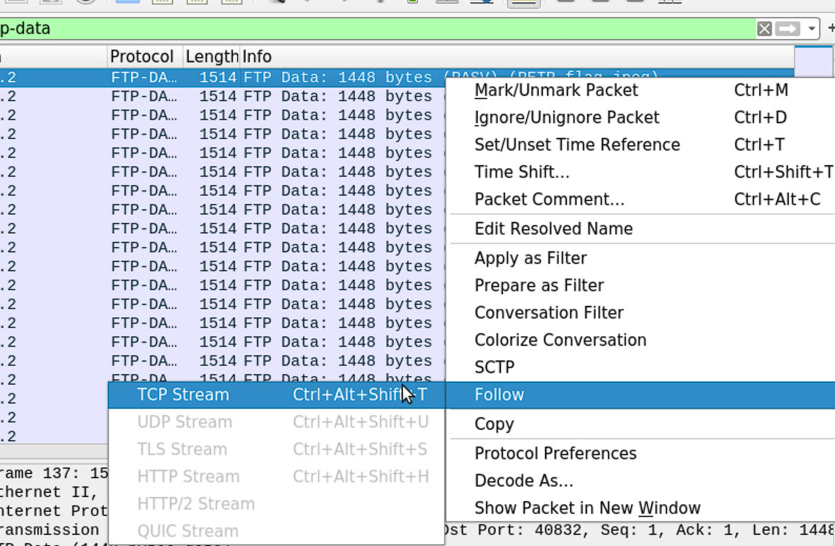 Following the FTP-data TCP stream