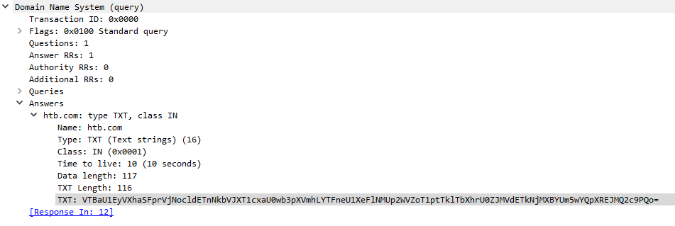 Encoded data hidden in DNS records