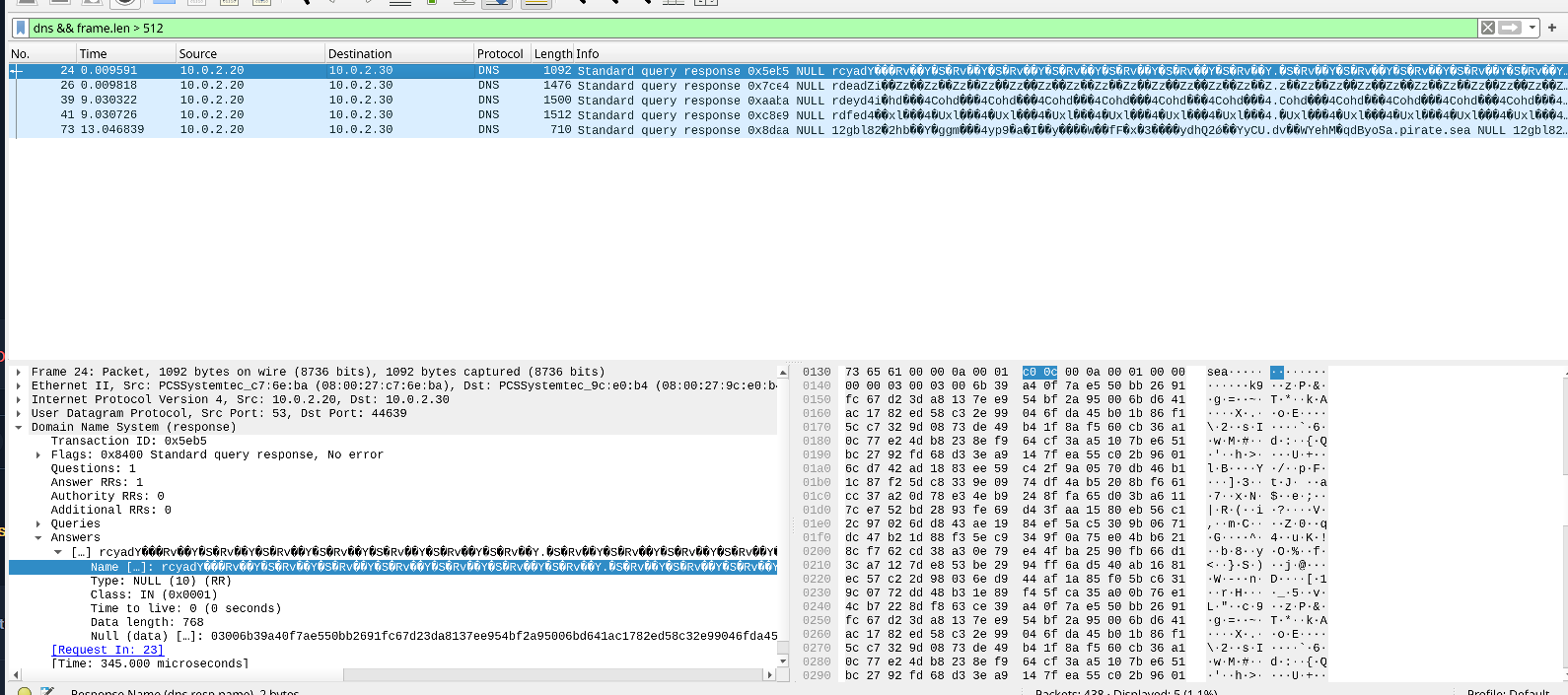 Oversized DNS packets carrying tunneled data