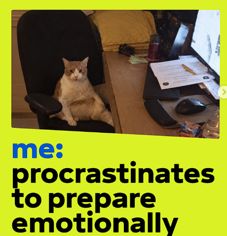 Me, preparing emotionally to write the report
